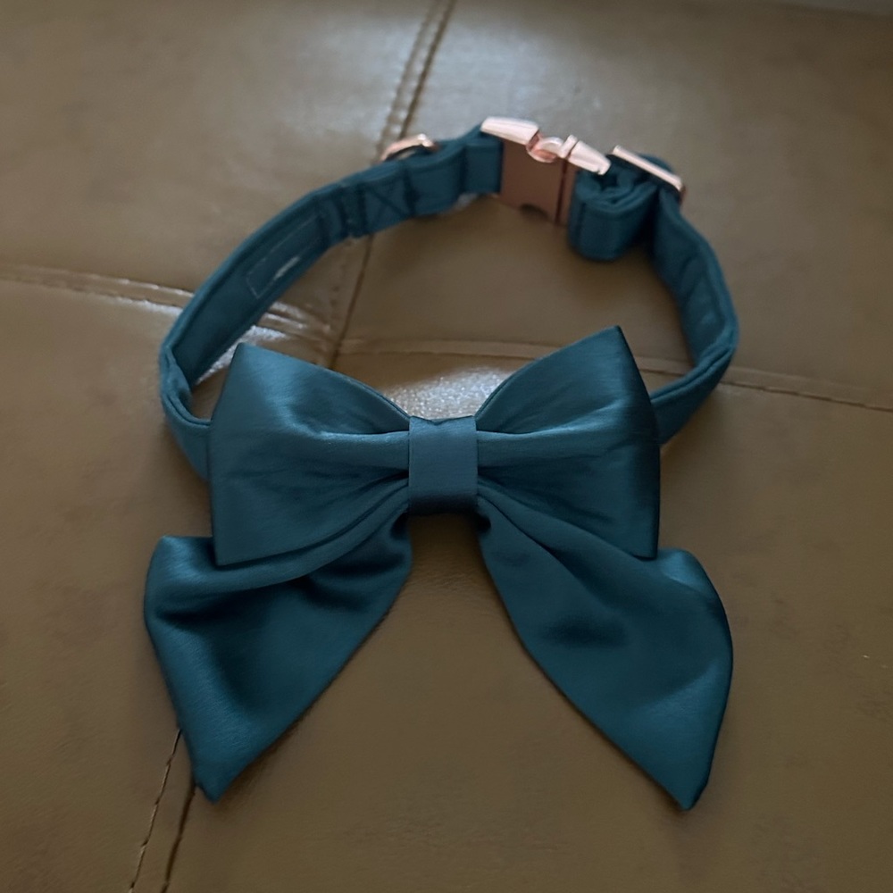 NWOT Teal Dog Collar S/M